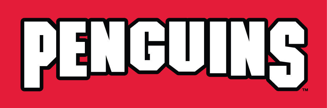 Youngstown State Penguins 1993-Pres Wordmark Logo v2 diy iron on heat transfer